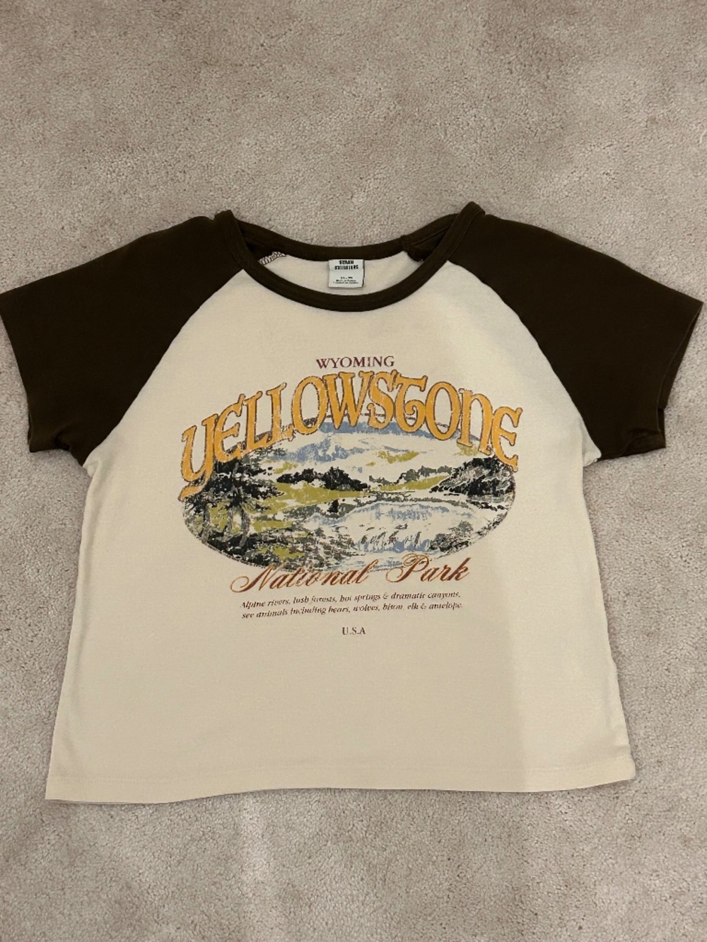 Urban Outfitters Graphic Cropped Tee